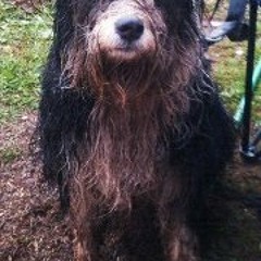 Felipe Eddie Zatarain