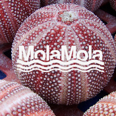 Mola Mola Records
