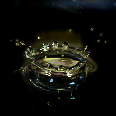 Spin