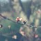 Leasy_