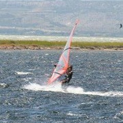 Bram Vaes