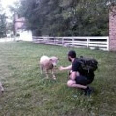 Guyönysus Carsmælly