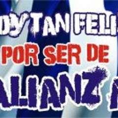 Joe Paul Vigo Henriquez 1