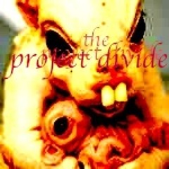 the project divide
