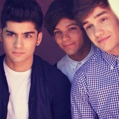 one_direction_cher_lloyd