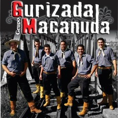 Gurizada Macanuda