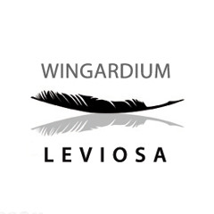 Wingardium_Leviosa