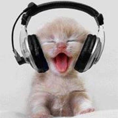 deep / tech house