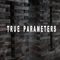 True Parameters