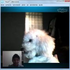 Armando Javier Carrera