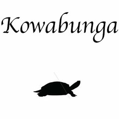 Kowabunga Records