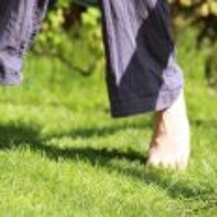 Meditativer Waldspaziergang