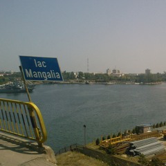 Buzaic