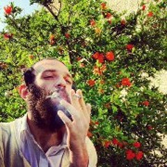 פיזמון םרן - Output - Stereo Out