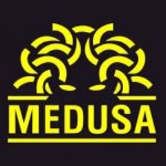 Medusa Store
