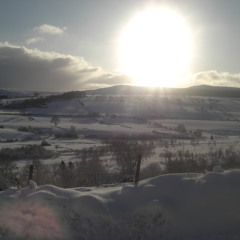 So I can be a Banshee