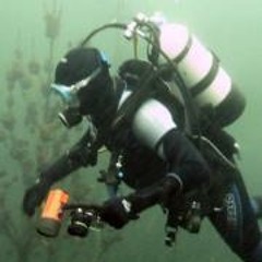 NetDiver