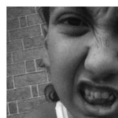 Jerkk Stay'Loyal Dejesus