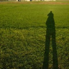 Maria Murcia Acevedo