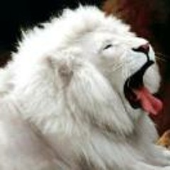 Rafael Adrian Gomez Nuñez