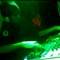 Dj Evna "El Nene Del Mix"