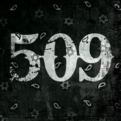 StreetLightProductions509