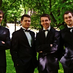 Mettis String Quartet