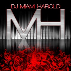 DJ Miami Harold