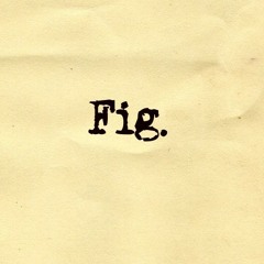 Fig .