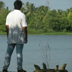 Nibin Thuruthiyil