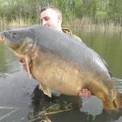 Jean-philippe Bibess