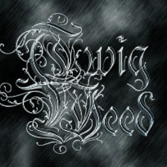 Who's Afraid Of My Little Old Disguise? Taylor Swift/Currents Mashup