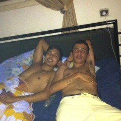 dvir moelm