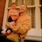 Christopher Mc Fadden