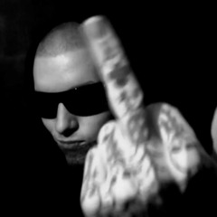 Shake Digga - Live Show