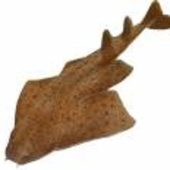 Angelshark
