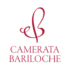 11 Camerata Bariloche - Astor Piazzolla - Suite Punta del Este / Mov. I, Allegro pesante