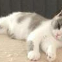 Whitney Spicer Vercnocke