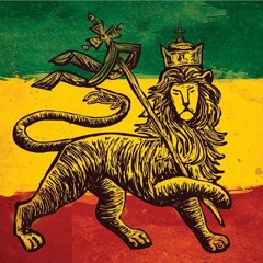 Tomas Papa-pot Kohout