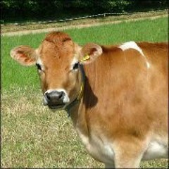 Scott 'Chaka' Walker