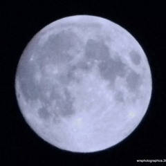 UNIVERSAL LOVE OF HOUSE M