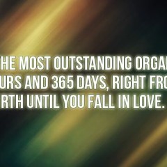 Lois Rivka Mendelsohn