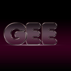 Gee wise-kid German