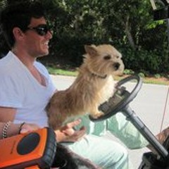 SwissMountainGorilla