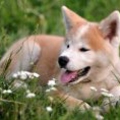 Iniko - Jericho Remix (Prod. Syko).mp3