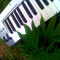 LenGien Music