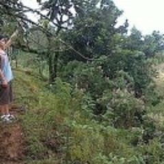 Jose Vazquez Jimenez