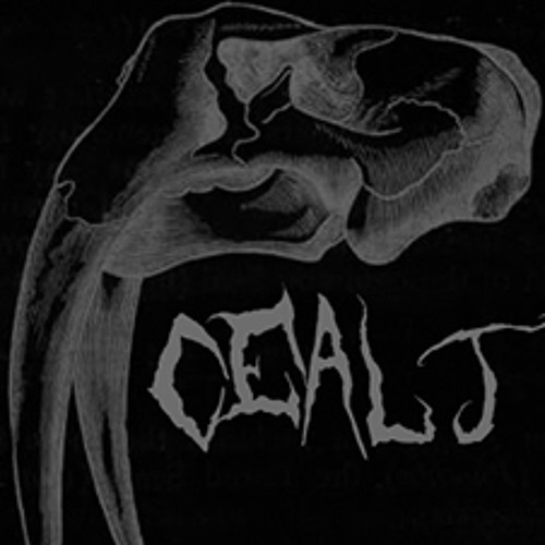 CEALT’s avatar