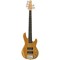 DistGuitar
