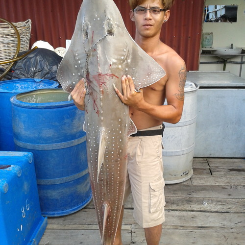 今生今世在一起夜来香.mp3